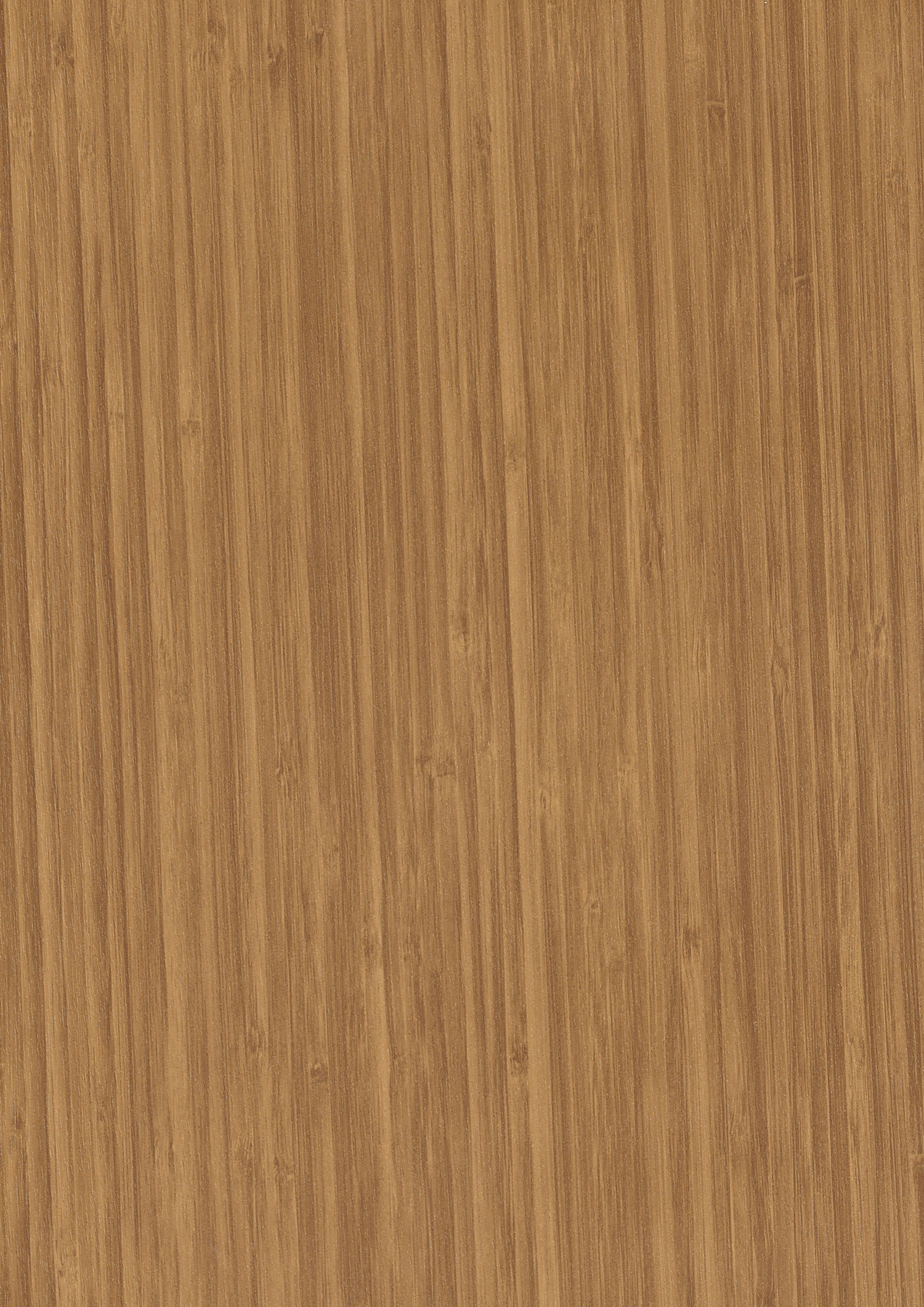 BAMBU / BAMBOO 